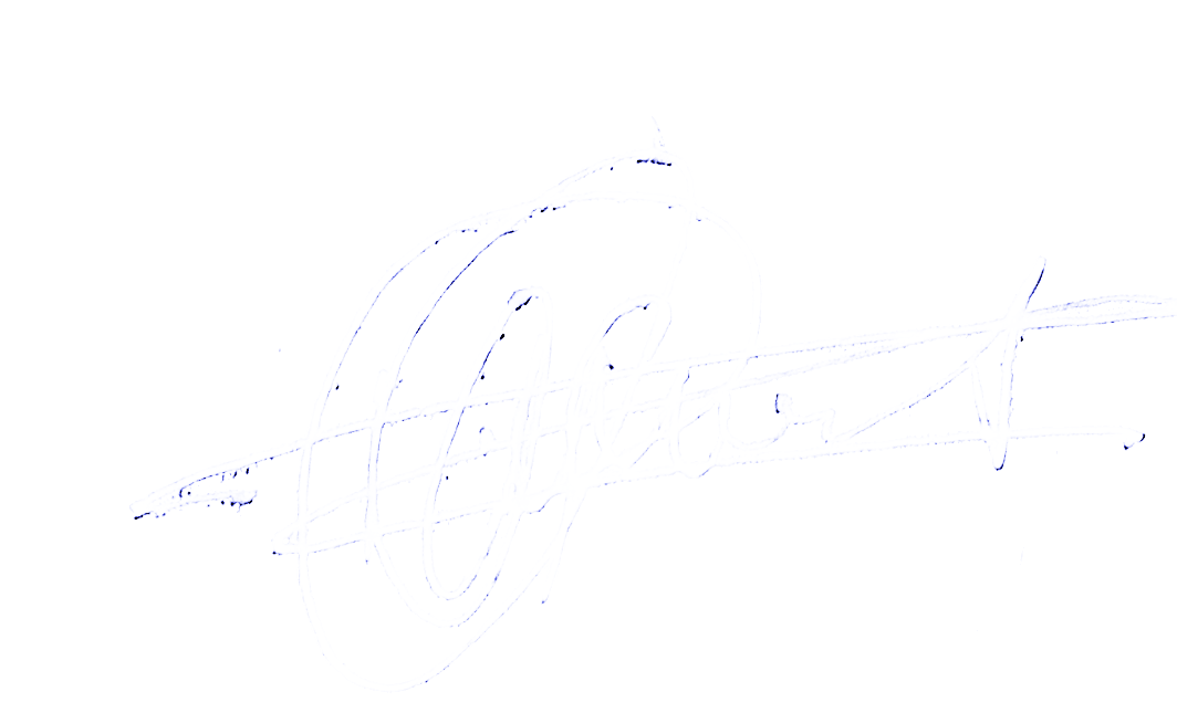 CEO Signature